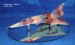 Mirage III ER - Djibouti conflict 1988