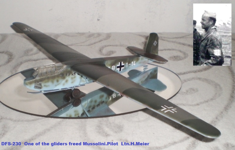 DFS-230  One of the gliders freed Mussolini.Pilot  Ltn.H.Meier