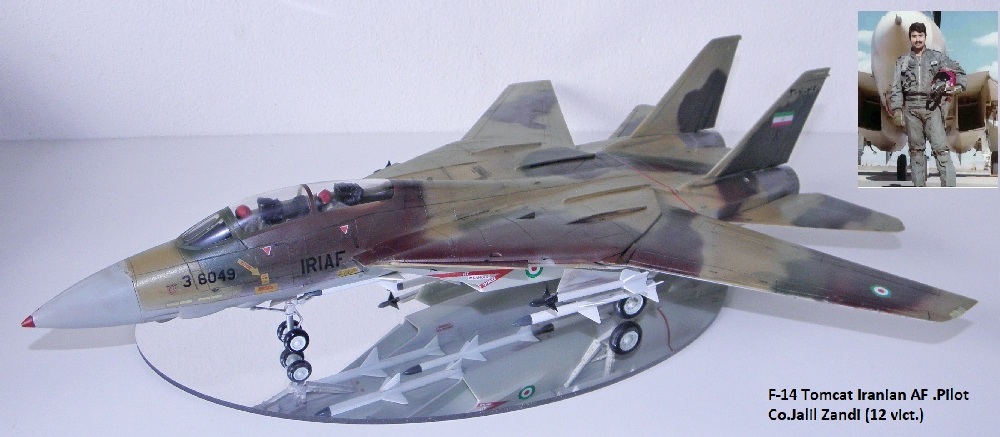 F-14 Tomcat Iranian AF .Pilot Co.Jalil Zandi (12 vict.)