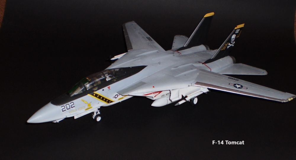 F-14 Tomcat