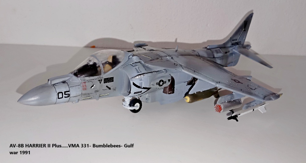 AV-8B HARRIER II Plus.....VMA 331- Bumblebees- Gulf war 1991