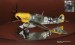ME Bf 109E-1...Hptm.Helmut Henz (Total 42 vict.)